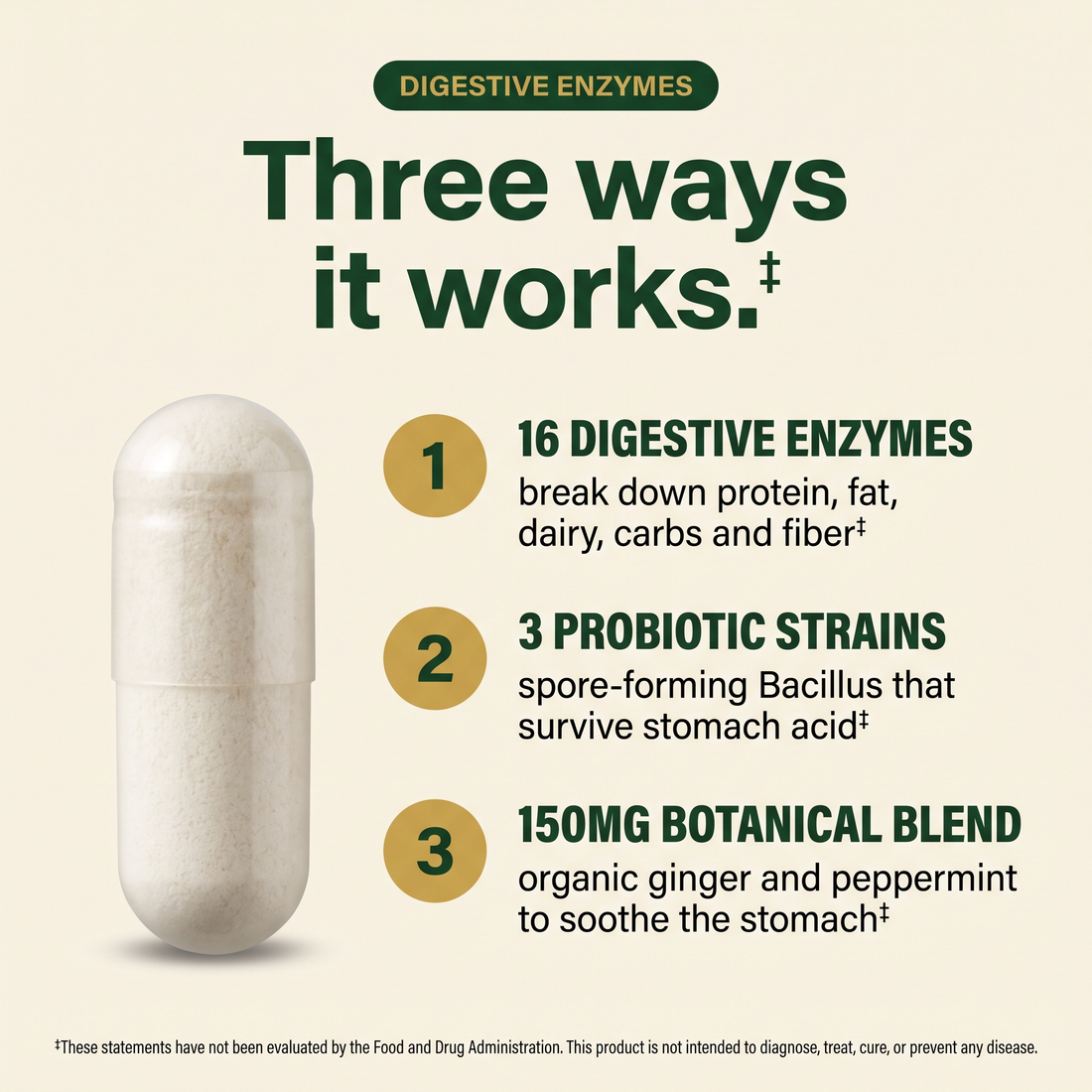 Digestive Enzymes