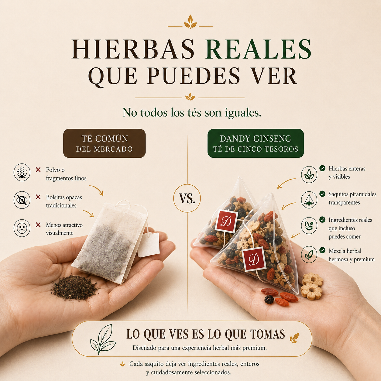 Té del Tesoro del Ginseng
