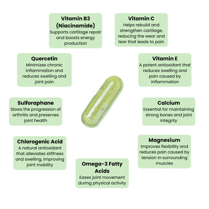 Moringa Capsules